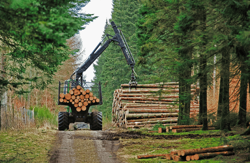 Canadian lumber Manufacturers