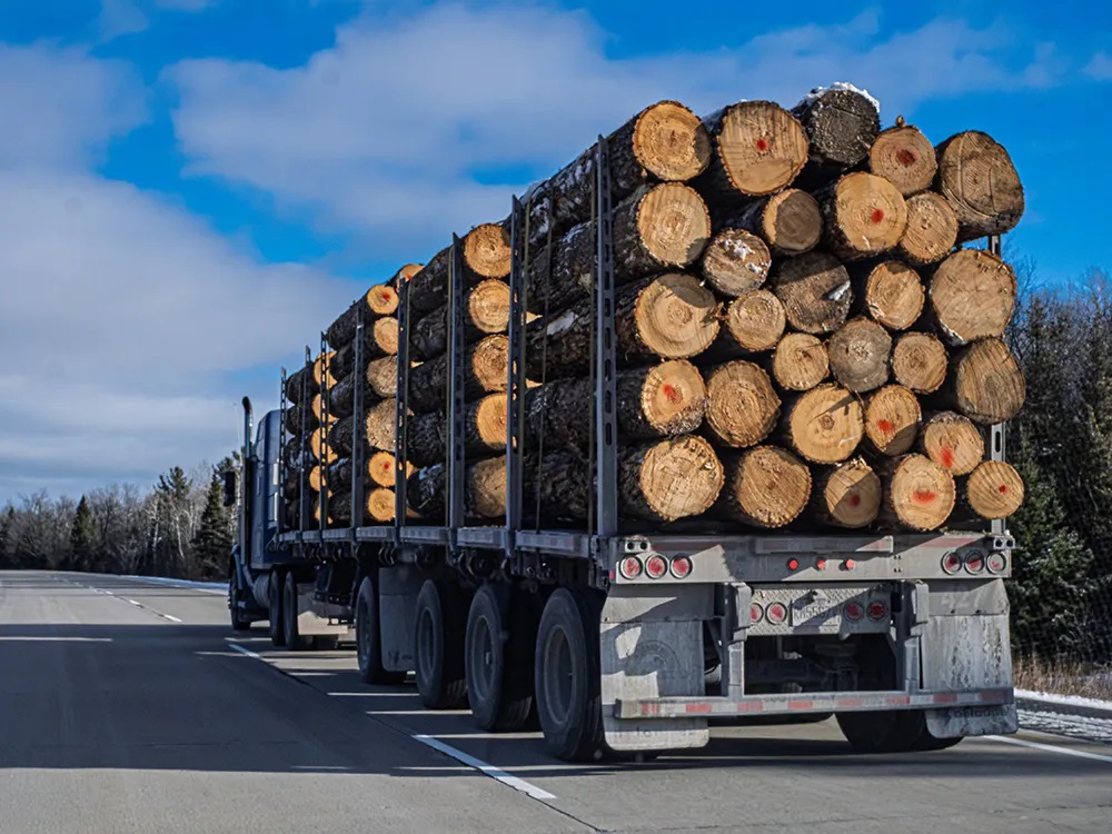 Canadian Lumber Exporters